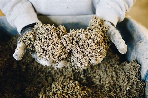  Hempcrete: Wyjątkowa materia na przyszłość budownictwa!